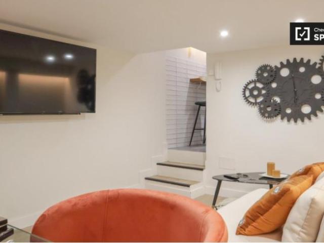 Apartamentos 1 Dormitorio Madrid Madrid ELS101788696