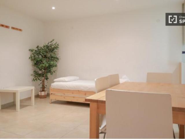 Apartamentos 1 Dormitorio Madrid Madrid ELS101804630