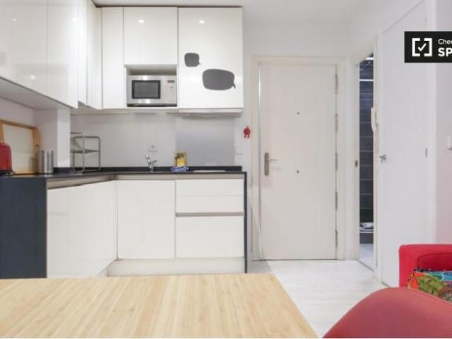 Apartamentos 1 Dormitorio Madrid Madrid ELS101806166
