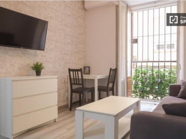Apartamentos 1 Dormitorio Madrid Madrid ELS101808023