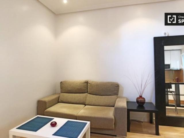 Apartamentos 1 Dormitorio Madrid Madrid ELS101808336
