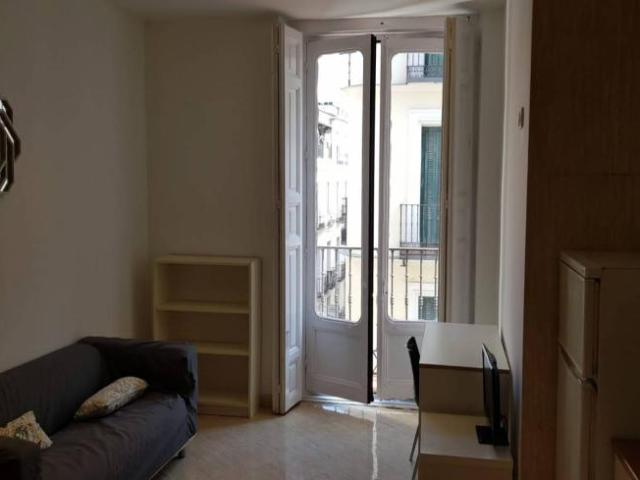 Apartamentos 1 Dormitorio Madrid Madrid ELS101809030