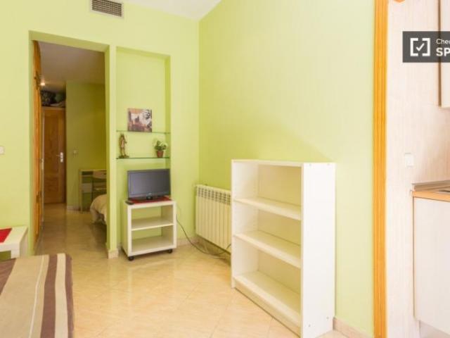 Apartamentos 1 Dormitorio Madrid Madrid ELS101809688