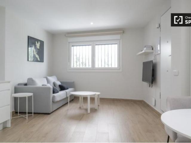 Apartamentos 1 Dormitorio Madrid Madrid ELS101815190