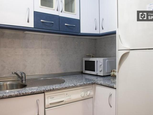 Apartamentos 1 Dormitorio Madrid Madrid ELS101815604