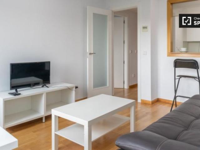 Apartamentos 1 Dormitorio Madrid Madrid ELS101817694