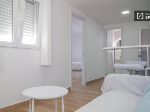 Apartamentos 1 Dormitorio Madrid Madrid ELS101818327