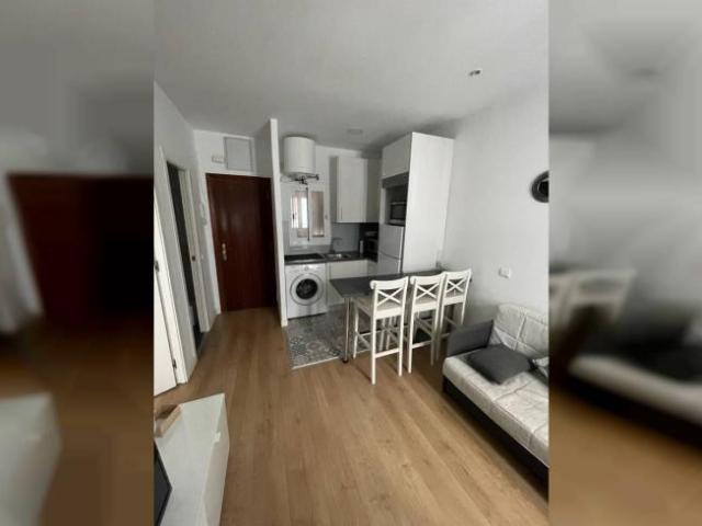 Apartamentos 1 Dormitorio Madrid Madrid ELS101818773