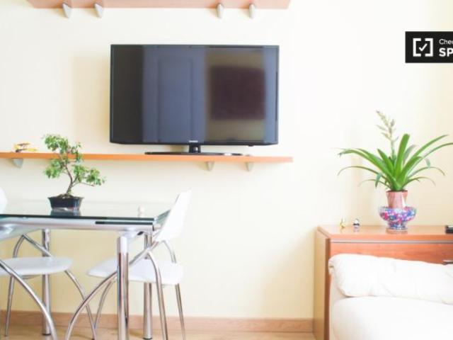 Apartamentos 1 Dormitorio Madrid Madrid ELS101818912