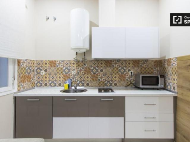 Apartamentos 1 Dormitorio Madrid Madrid ELS101819126