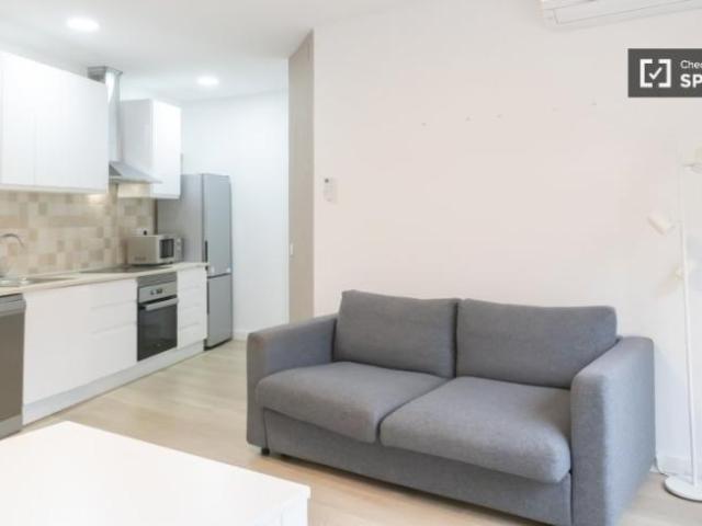Apartamentos 1 Dormitorio Madrid Madrid ELS101819383