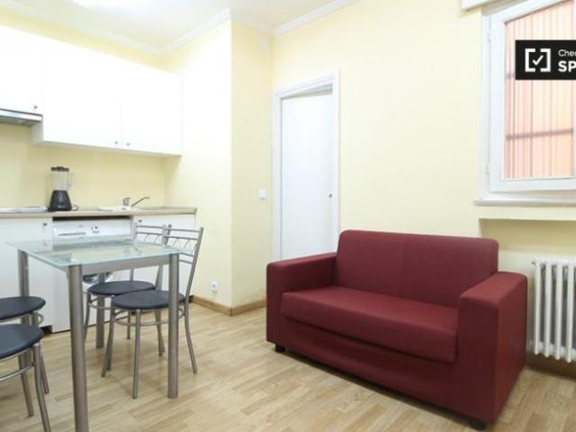 Apartamentos 1 Dormitorio Madrid Madrid ELS101819484