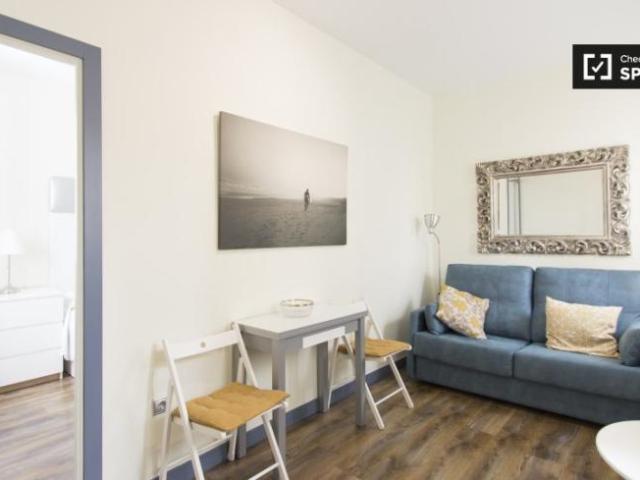 Apartamentos 1 Dormitorio Madrid Madrid ELS101819739