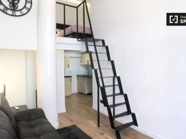 Apartamentos 1 Dormitorio Madrid Madrid ELS101811398