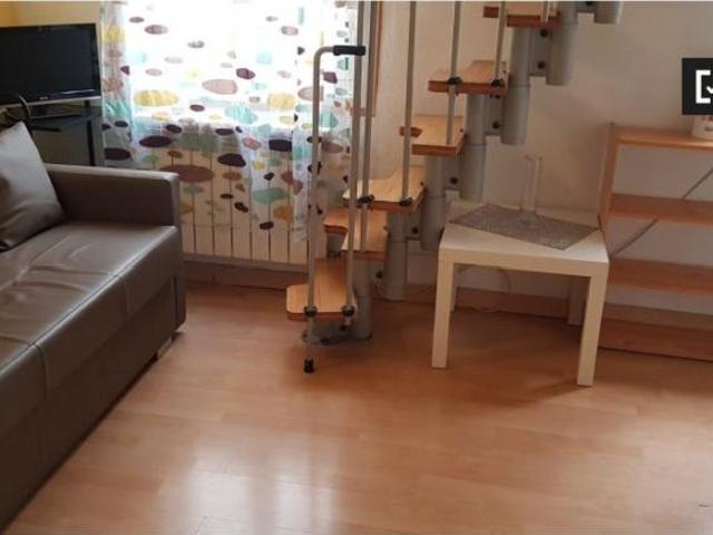 Apartamentos 1 Dormitorio Madrid Madrid ELS101811446