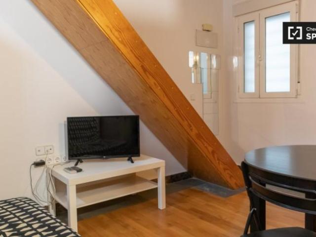 Apartamentos 1 Dormitorio Madrid Madrid ELS101813099