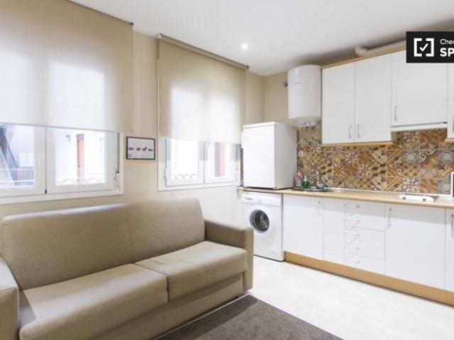 Apartamentos 1 Dormitorio Madrid Madrid ELS101813168