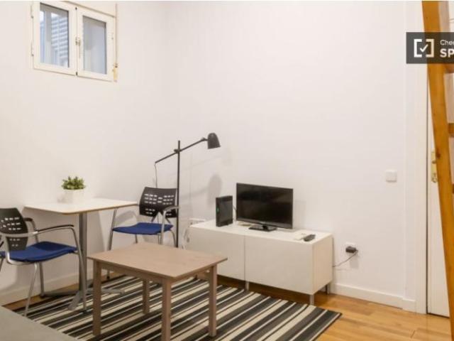 Apartamentos 1 Dormitorio Madrid Madrid ELS101813244
