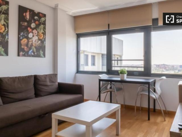 Apartamentos 1 Dormitorio Madrid Madrid ELS101813349