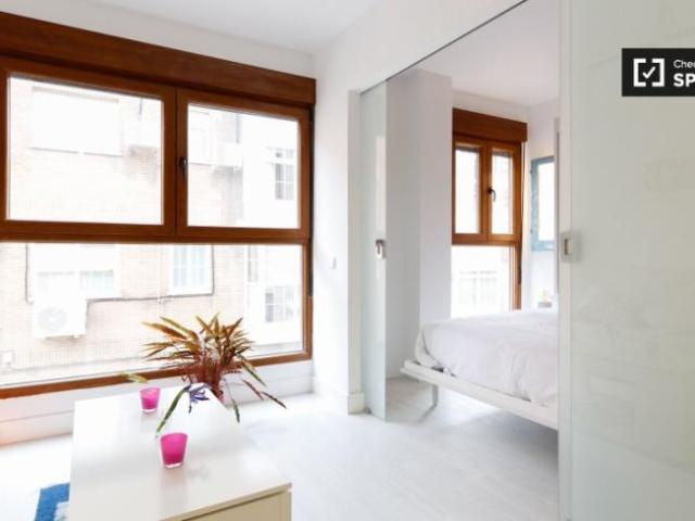 Apartamentos 1 Dormitorio Madrid Madrid ELS101823129