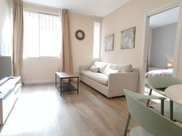 Apartamentos 1 Dormitorio Madrid Madrid ELS101835779