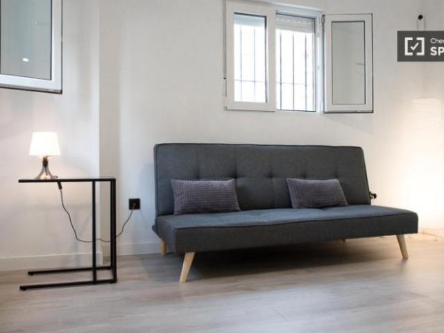 Apartamentos 1 Dormitorio Madrid Madrid ELS101835839
