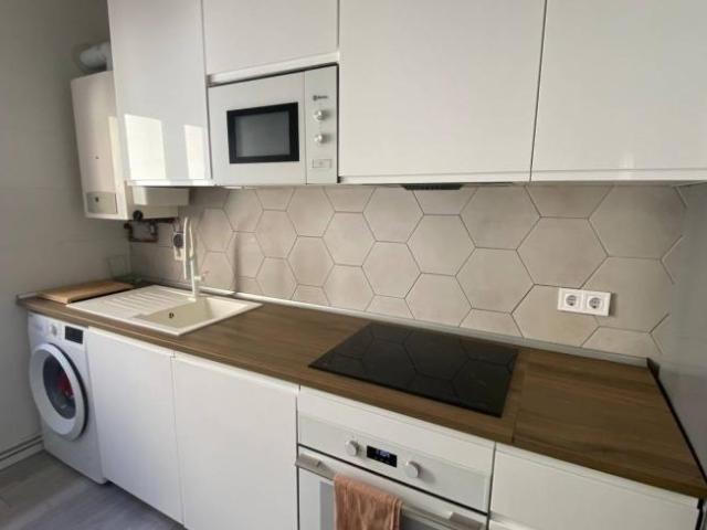 Apartamentos 1 Dormitorio Madrid Madrid ELS101837294