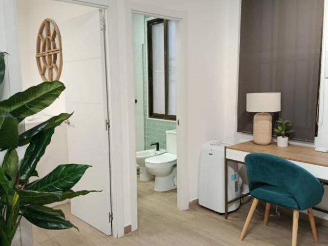 Apartamentos 1 Dormitorio Madrid Madrid ELS101844684