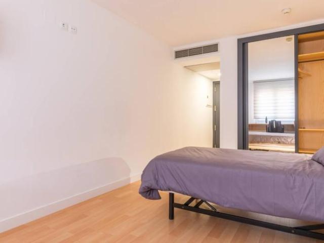 Apartamentos 1 Dormitorio Madrid Madrid ELS101846074