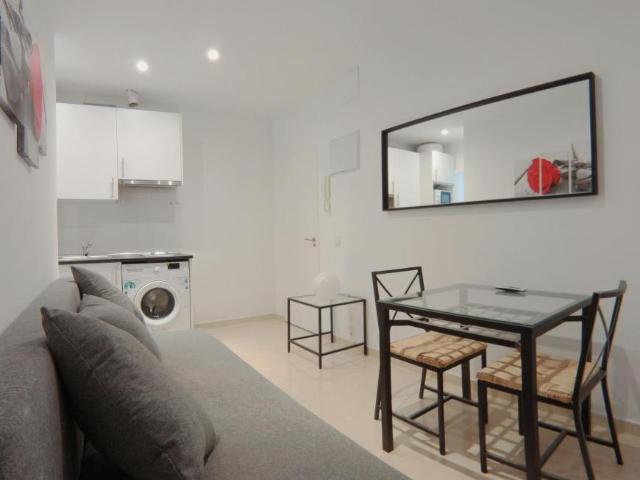 Apartamentos 1 Dormitorio Madrid Madrid ELS101848280
