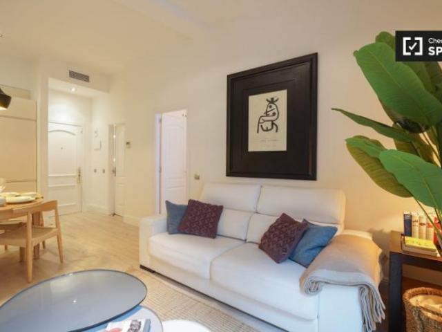 Apartamentos 1 Dormitorio Madrid Madrid ELS101841505