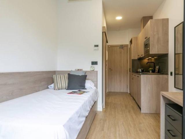 Apartamentos 1 Dormitorio Madrid Madrid ELS101850653