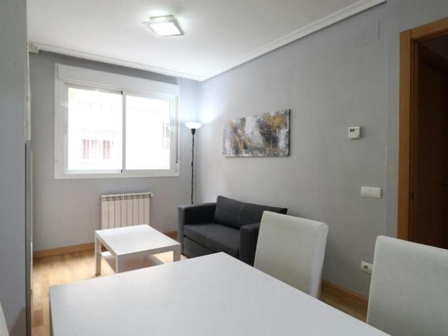 Apartamentos 1 Dormitorio Madrid Madrid ELS101885201