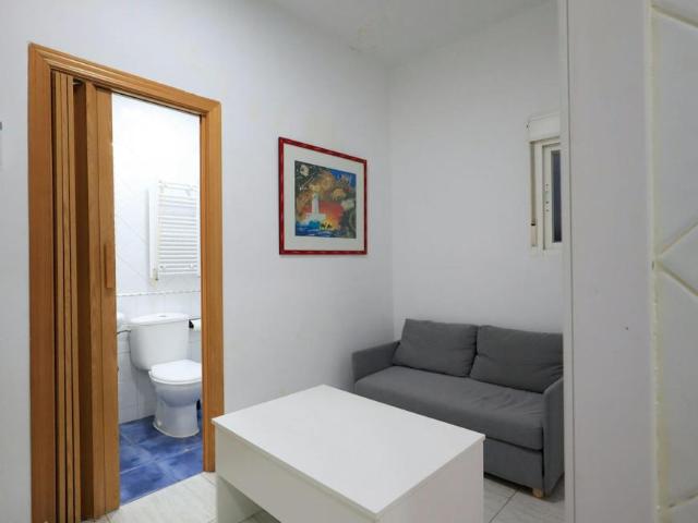 Apartamentos 1 Dormitorio Madrid Madrid ELS101952640