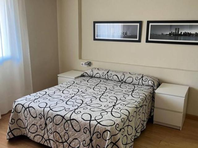 Apartamentos 1 Dormitorio Madrid Madrid ELS101993049
