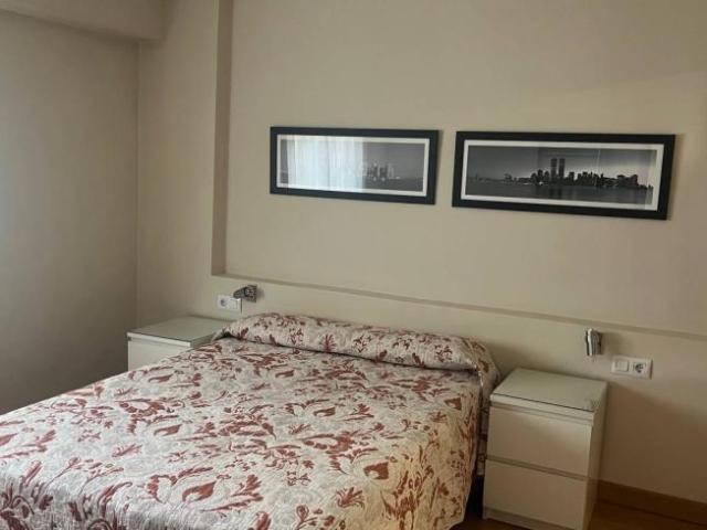 Apartamentos 1 Dormitorio Madrid Madrid ELS101993052