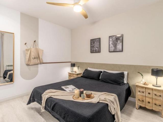 Apartamentos 1 Dormitorio Madrid Madrid ELS102436704