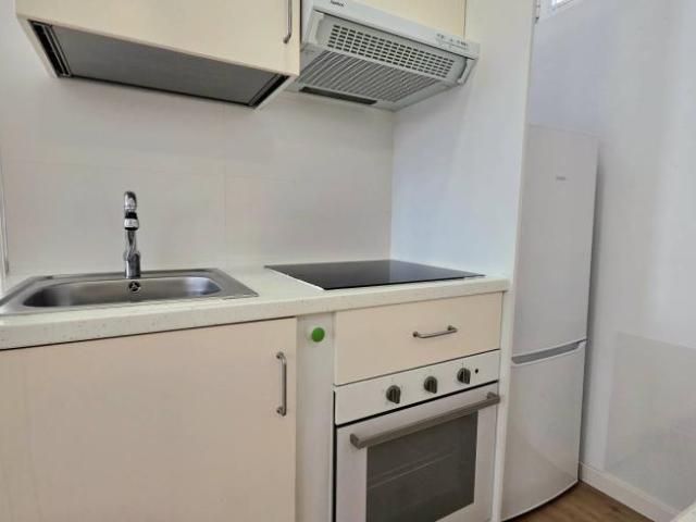 Apartamentos 1 Dormitorio Madrid Madrid ELS102522941