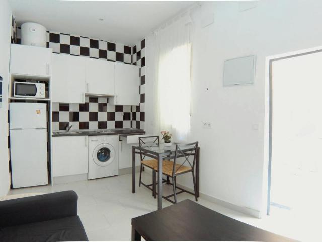 Apartamentos 1 Dormitorio Madrid Madrid ELS102554312