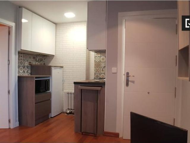 Apartamentos 1 Dormitorio Madrid Madrid ELS102554529