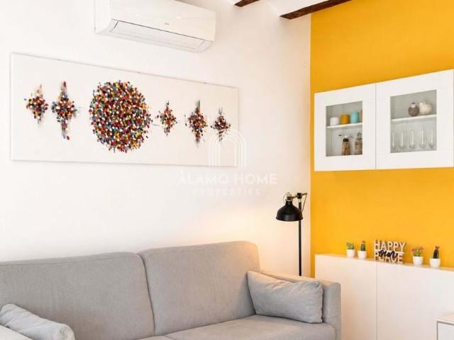 Apartamentos 1 Dormitorio Madrid Madrid ELS102718337