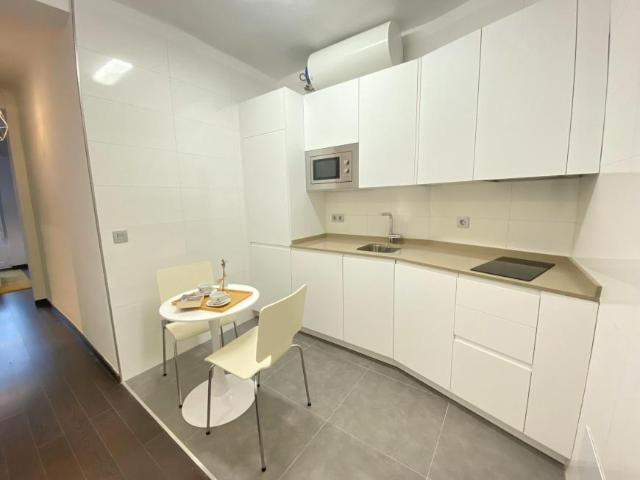 Apartamentos 1 Dormitorio Madrid Madrid ELS102815294