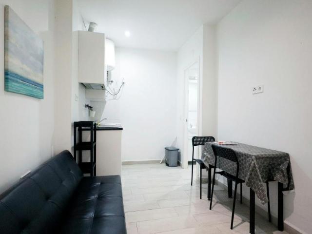 Apartamentos 1 Dormitorio Madrid Madrid ELS102854779