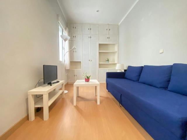 Apartamentos 1 Dormitorio Madrid Madrid ELS102854947