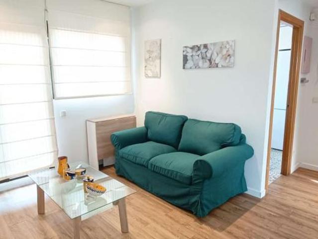 Apartamentos 1 Dormitorio Madrid Madrid ELS102854964