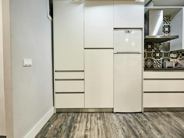 Apartamentos 1 Dormitorio Madrid Madrid ELS102855205