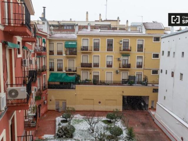 Apartamentos 1 Dormitorio Madrid Madrid ELS102850657