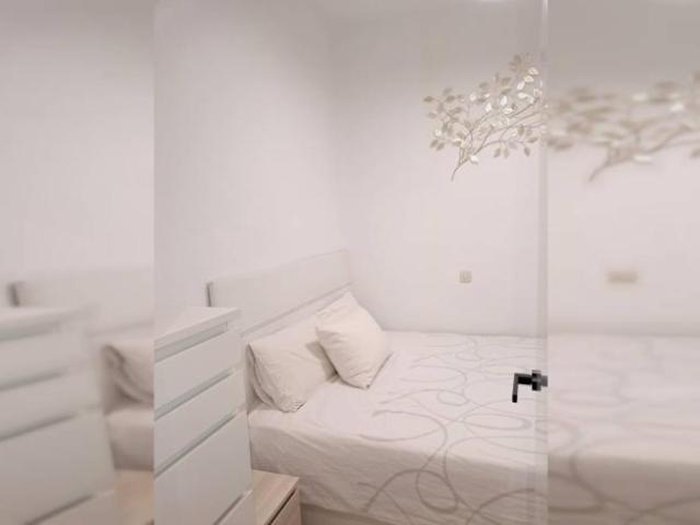 Apartamentos 1 Dormitorio Madrid Madrid ELS102886530
