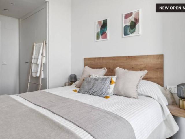 Apartamentos 1 Dormitorio Madrid Madrid ELS102954490