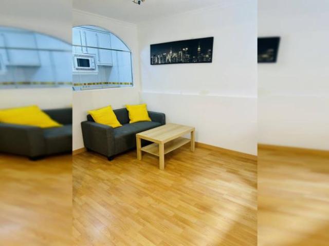 Apartamentos 1 Dormitorio Madrid Madrid ELS103013729